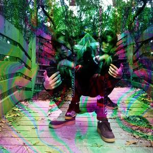 Jupyter - Luigi's Mansion