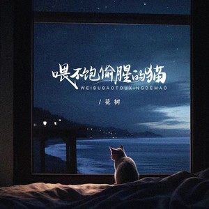 喂不饱偷腥的猫