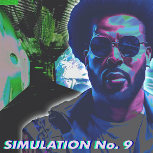 Simulation No. 9