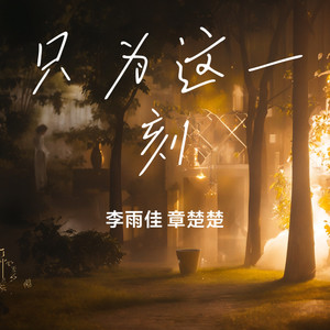 只为这一刻