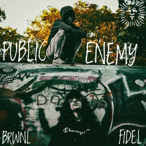 Public Enemy (Explicit)