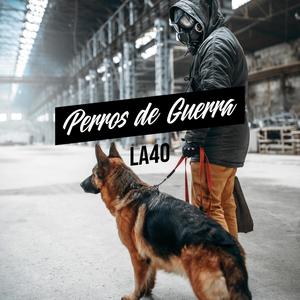 Perros de guerra