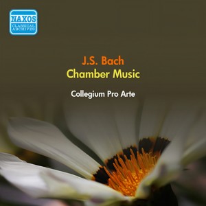 Violin Sonata in G Major, BWV 1021 - IV. Vivace