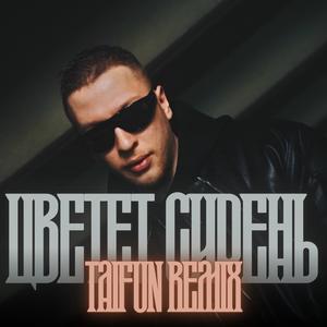 цветет сирень (feat. Lx24) (Remix)