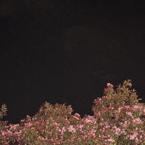 Fall 4 Me (Explicit)