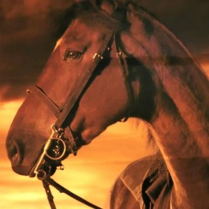 呼伦贝尔大草原 (伴奏)