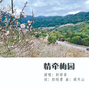 情牵梅园