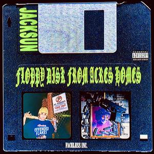 FLOPPY DISK FROM ACRES HOMES (Explicit)