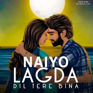 Naiyo Lagda Dil Tere Bina