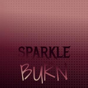 Sparkle Burn
