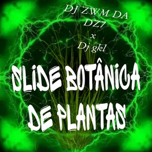 Slide Botanica De Plantas