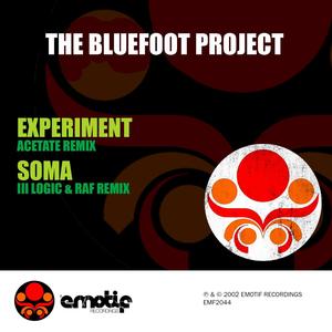 Experiment  / Soma