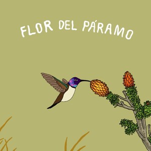 Flor del Páramo