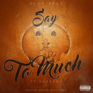 Say to Much (feat. NoxBond)