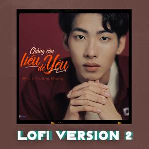 Chẳng Còn Liều Để Yêu (Lofi Version 2)