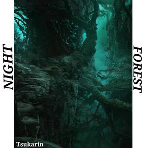 Night Forest
