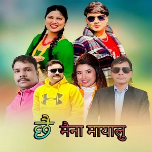 Chhai Maina Mayalu