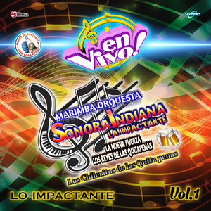 Quita Pena Mix No. 16: Anoche Estuve Llorando / Amor Que Nace (En Vivo)