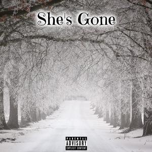 She's Gone (feat. Clev's & Jimmy D) [Explicit]