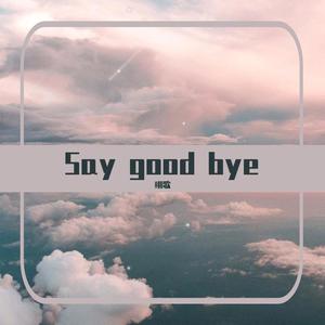 Say good bye