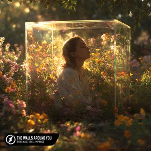 The Walls Around You