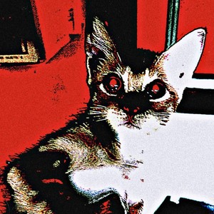 JUST TELL ME WHY (Explicit)