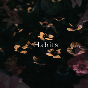 Habits (feat. LeeBruh Greene)