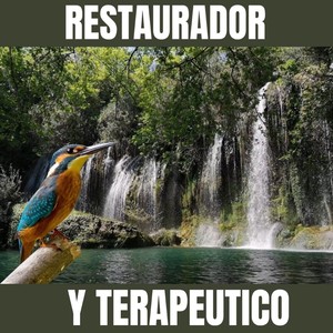 Restaurador y Terapeutico