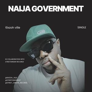 Naija government