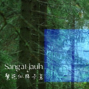 Sangat jauh（繁花似锦卡点） (DJ版)