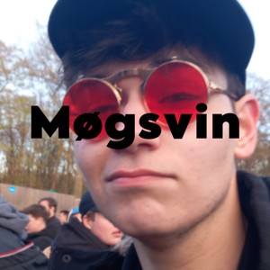 Møgsvin