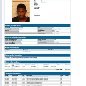 Free Turtle (Explicit)