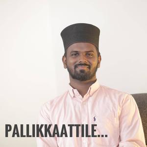 Pallikkaattile