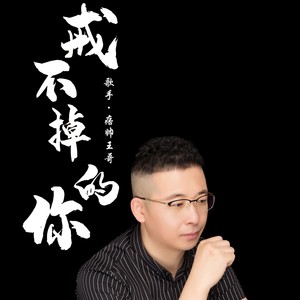戒不掉的你