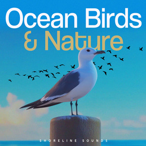 Ocean Birds & Nature