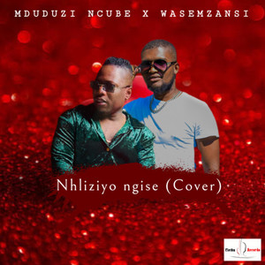 Nhliziyo ngise (Remix)