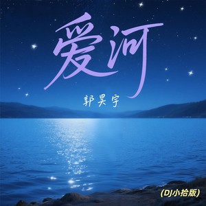 爱河 (DJ小拾版)封面