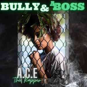 BULLY AND A BOSS (Radio Edit)