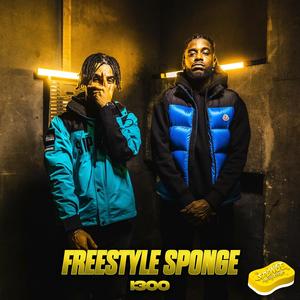 Freestyle Sponge (No Hook #2) (Explicit)
