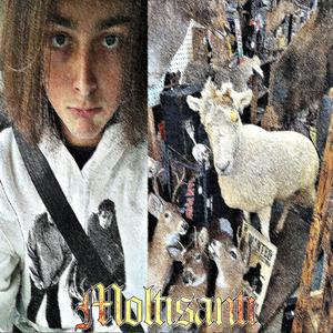 moltisanti (Explicit)