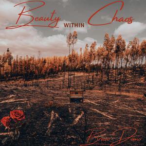 Beauty within Chaos (Explicit)