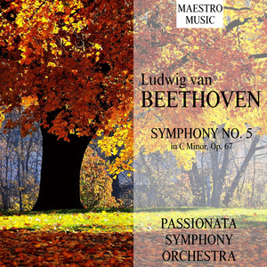 Ludwig Van Beethoven: Symphony No. 5 In C Minor, Op. 67