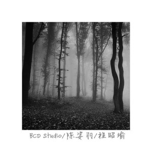 流动照片封面