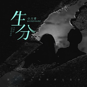 生分 (新编版伴奏)封面