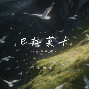 巴拉莱卡-王若依