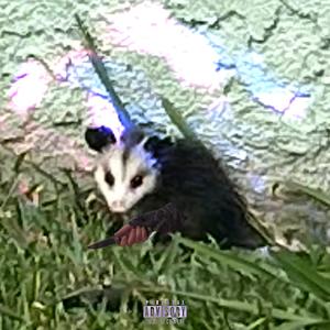 all-nighter. (can we just?) (Explicit)