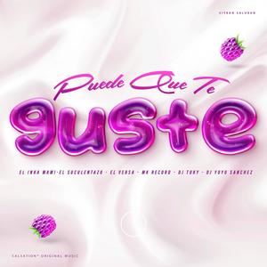 Puede Que Te Guste(feat. El Inka Mami, El Suculentazo, El Versa, Mk Record & Dj Toky)