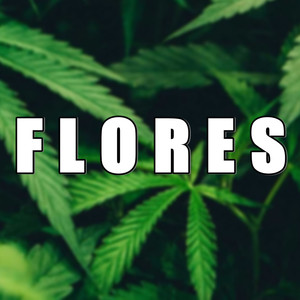 Flores (Explicit)