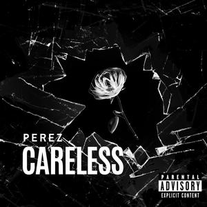 CareLESS (Explicit)