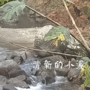 唯美的人间烟火独恋你一人